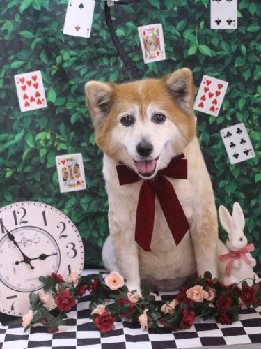 20250409ボニーちゃん